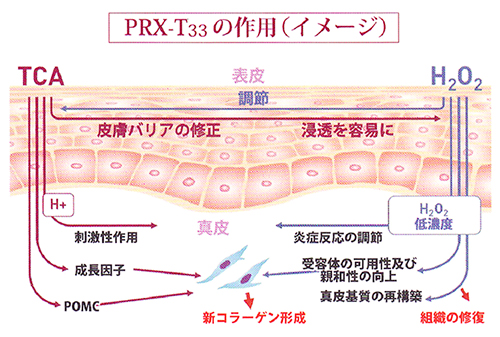 マッサージピール（コラーゲンピール）PRX－T33